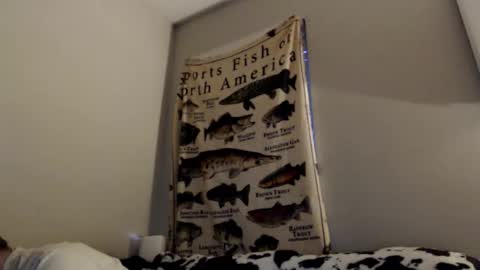 18str8igcock online show from 11.01.25