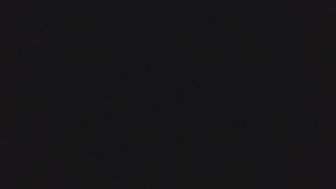 1900pley online show from 01.05.26