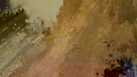 Queen  King online show from 01.02.25