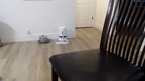 i erupt if you suck ur nipples 4 me and look at the camera while watching me online show from 11.09.25