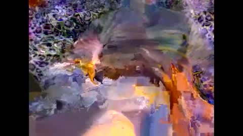 MED online show from 03.08.26