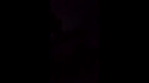 1st___ online show from 02.23.26