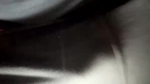 24robin online show from 02.05.26