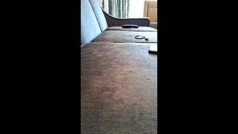 2pac200022 online show from 04.16.26