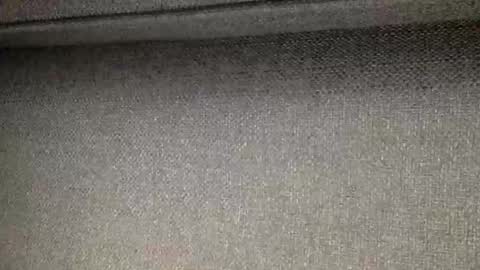 30nick online show from 04.02.26