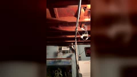 33adidas online show from 03.26.26