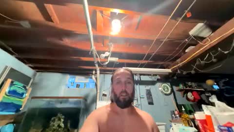 33adidas online show from 04.05.26