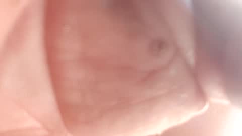 Snapshot of 3this88guy chatting on 02.12.25 Thisguy online show from 02.12.25