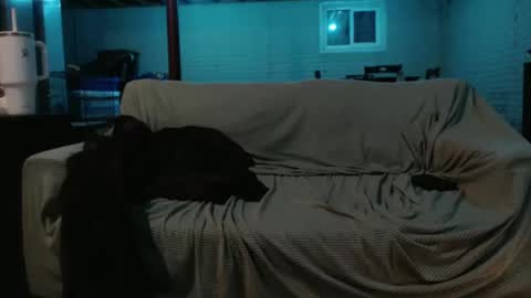 420bunnie online show from 02.26.25