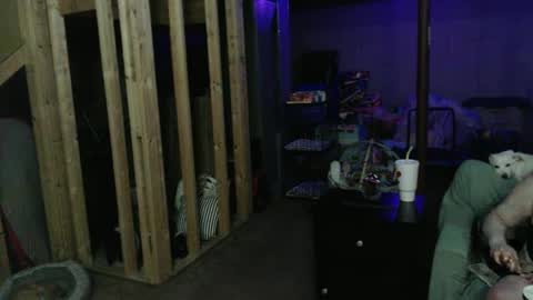 420bunnie online show from 03.01.25