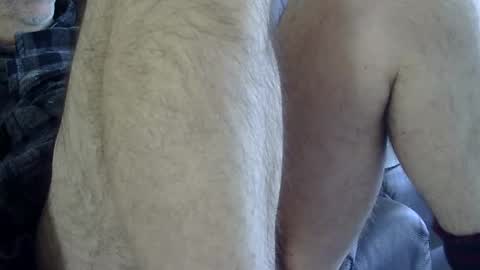 66bear online show from 02.08.25