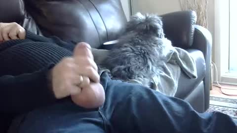 66bear online show from 03.02.25