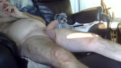 66bear online show from 10.05.25