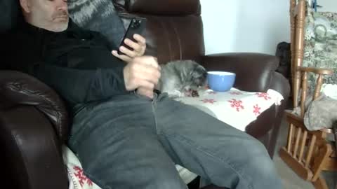 66bear online show from 10.31.25