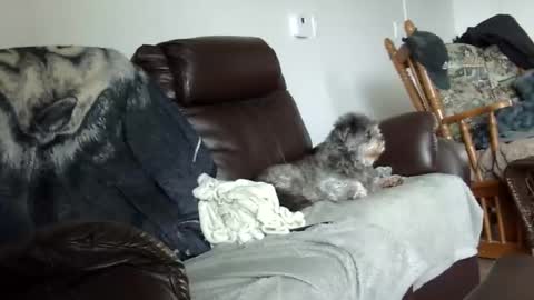 66bear online show from 12.21.25