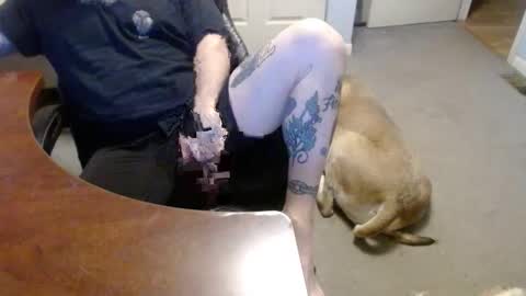 MASTIFF online show from 01.16.26