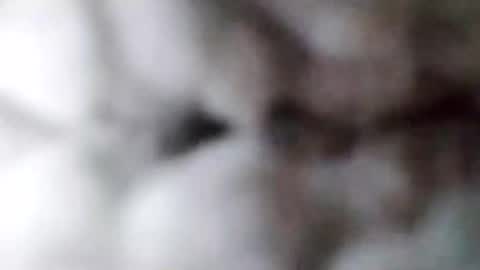 88piterr88 online show from 02.17.25