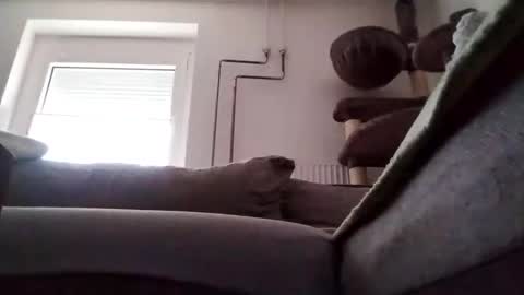 88piterr88 online show from 02.24.25