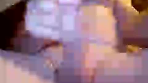 Invictus hornydad online show from 07.05.26