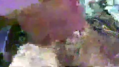 99zeus9 online show from 01.15.25