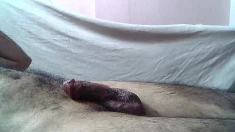 Massive hungry cock online show from 05.16.26