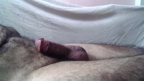 Massive hungry cock online show from 07.28.26