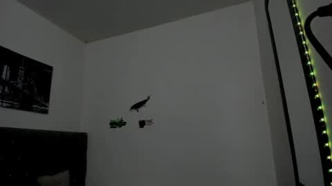 DERECK online show from 04.15.26