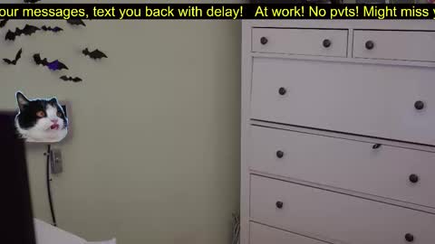 _3x7_ online show from 10.07.25