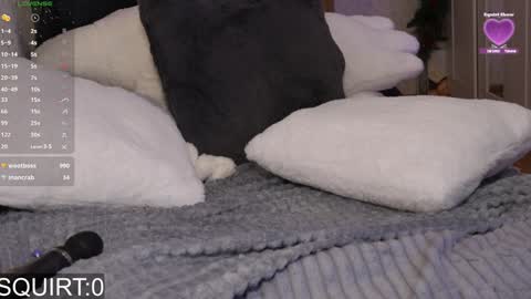 Snapshot of _aleksa chatting on 01.25.25 Alexa online show from 01.25.25