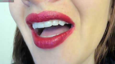 antonia online show from 04.11.26