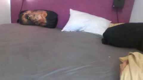 Snapshot of _bertl_ chatting on 10.25.25 _bertl_ online show from 10.25.25