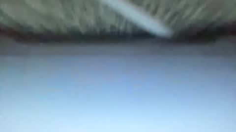 _direwolf_ online show from 02.27.26