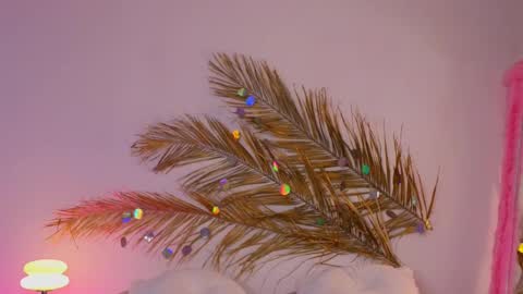 Holly online show from 03.12.25