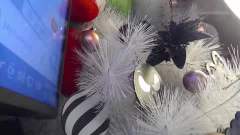 Cata  online show from 11.30.25