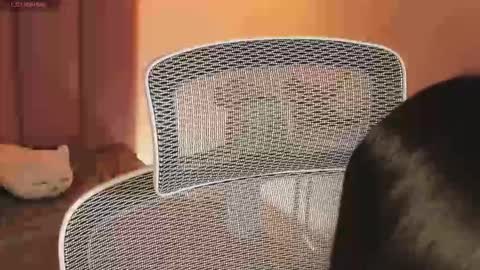 _kata online show from 12.20.25