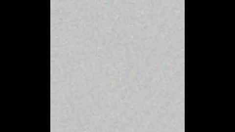 _maccaa_ online show from 10.28.25