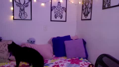 Marce  online show from 01.18.25