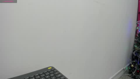 Snapshot of _marisol_ chatting on 12.31.24 Mikoto Alexia online show from 12.31.24