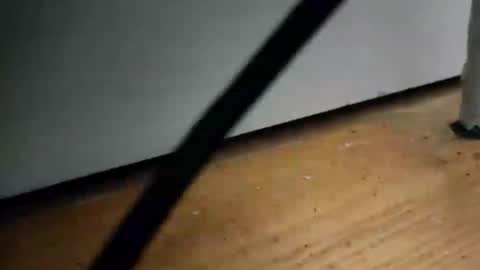 _nicetobehere_ online show from 01.16.26