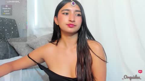 Orquidea  online show from 11.13.25