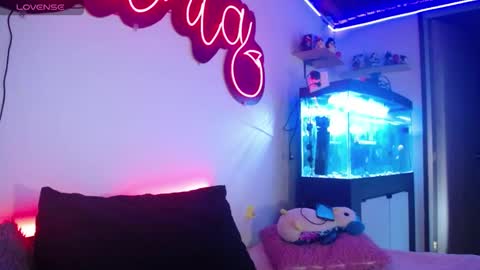 Snapshot of _santalove_ chatting on 12.05.24 SantaLove online show from 12.05.24