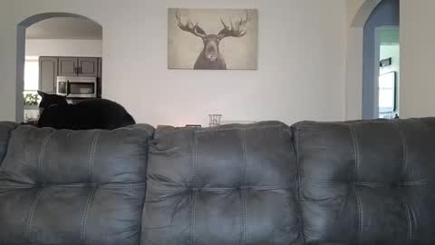 Snapshot of _sophia_grace_ chatting on 10.03.25 SophiaGraceKnight online show from 10.03.25