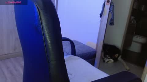 Snapshot of _tinyrousse_ chatting on 02.23.26 Rousse online show from 02.23.26