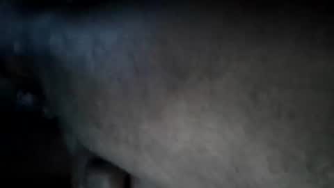 A2Please online show from 09.15.25