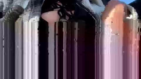 Snapshot of a_rae93 chatting on 10.14.25 a_rae93 online show from 10.14.25