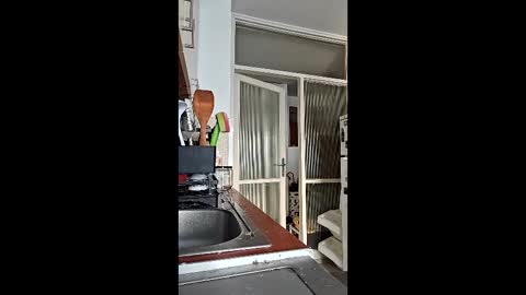 abbel_stone online show from 03.15.26