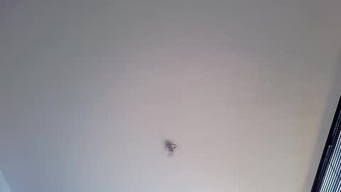 Martina online show from 01.12.25