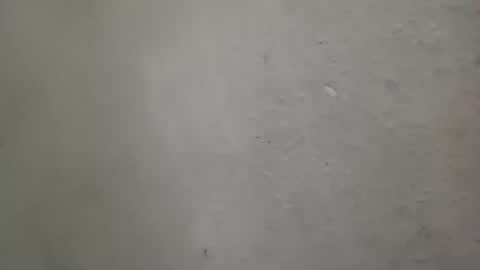 Snapshot of absltorres8 chatting on 07.14.26 absltorres8 online show from 07.14.26
