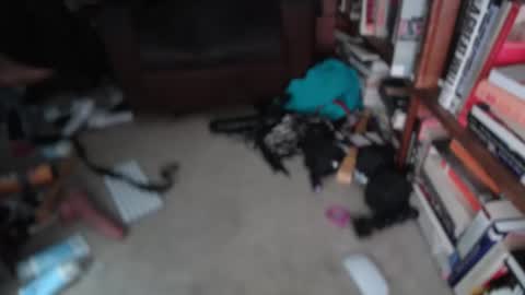 aCACiAs2022 online show from 03.01.26