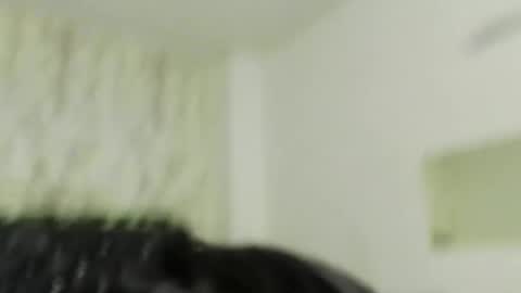 adam_morgan2 online show from 12.21.25